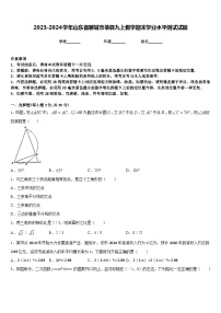 2023-2024学年山东省聊城市莘县九上数学期末学业水平测试试题含答案