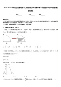 2023-2024学年山东省陵城区江山实验学校九年级数学第一学期期末学业水平测试模拟试题含答案