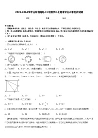 2023-2024学年山东省青岛43中数学九上期末学业水平测试试题含答案