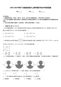 2023-2024学年广东省茂名地区九上数学期末学业水平测试试题含答案