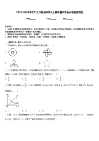 2023-2024学年广元市重点中学九上数学期末学业水平测试试题含答案