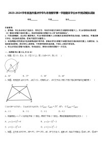 2023-2024学年恩施市重点中学九年级数学第一学期期末学业水平测试模拟试题含答案