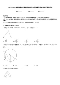 2023-2024学年扬州市江都区实验数学九上期末学业水平测试模拟试题含答案