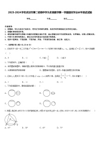 2023-2024学年武汉市第二初级中学九年级数学第一学期期末学业水平测试试题含答案