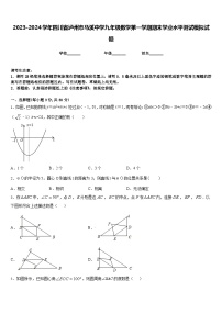 2023-2024学年四川省泸州市马溪中学九年级数学第一学期期末学业水平测试模拟试题含答案