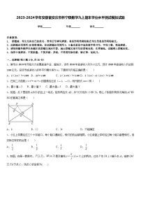 2023-2024学年安徽省安庆市怀宁县数学九上期末学业水平测试模拟试题含答案