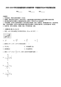 2023-2024学年安徽省蒙城县九年级数学第一学期期末学业水平测试模拟试题含答案