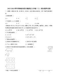 2023-2024学年河南省洛阳市偃师区七年级（上）期末数学试卷(含解析）