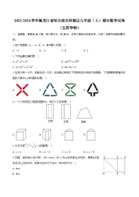 2023-2024学年黑龙江省哈尔滨市阿城区九年级（上）期末数学试卷（五四学制）(含解析）