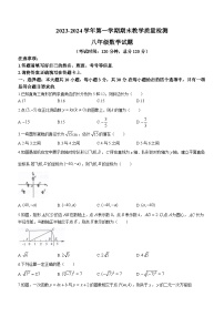 广东省河源市连平县2023-2024学年八年级上学期期末数学试题