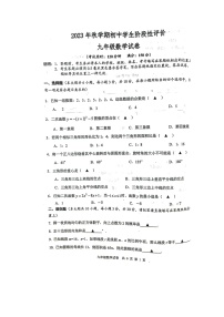 江苏省泰州市兴化市2023-2024学年九年级上学期1月期末数学试题