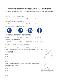 2023-2024学年湖南省长沙市望城区八年级（上）期末数学试卷(含解析）