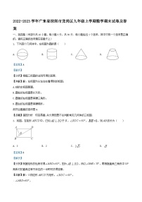 2022-2023学年广东省深圳市龙岗区九年级上学期数学期末试卷及答案