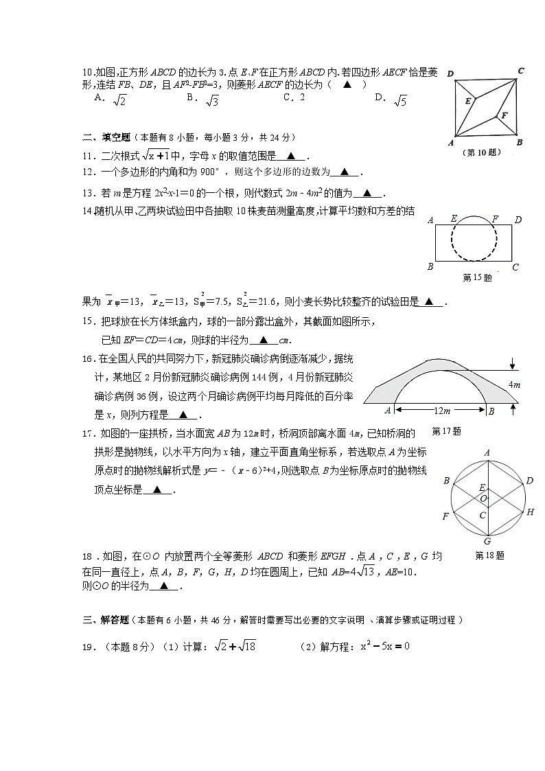 2023-2024学年浙江省温州市乐清外国语学校九年级上学期数学返校考试题卷02