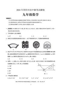 2024年邵阳市初中联考九年级数学试题卷及答案