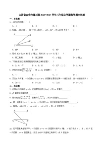 江西省吉安市遂川县2020-2021学年八年级上学期数学期末试卷