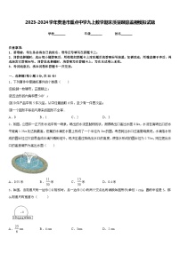 2023-2024学年贵港市重点中学九上数学期末质量跟踪监视模拟试题含答案