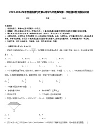 2023-2024学年贵州省都匀市第六中学九年级数学第一学期期末检测模拟试题含答案