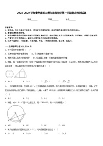 2023-2024学年贵州省黔三州九年级数学第一学期期末预测试题含答案