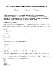 2023-2024学年贵州省黔三州数学九年级第一学期期末质量跟踪监视试题含答案