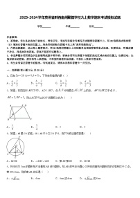 2023-2024学年贵州省黔西南州勤智学校九上数学期末考试模拟试题含答案