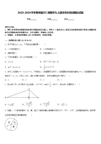 2023-2024学年贵州省兴仁县数学九上期末综合测试模拟试题含答案