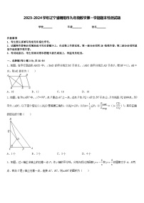 2023-2024学年辽宁省朝阳市九年级数学第一学期期末检测试题含答案