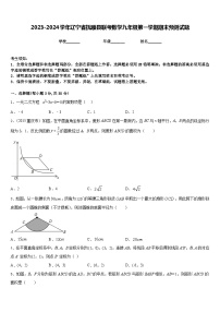 2023-2024学年辽宁省抚顺县联考数学九年级第一学期期末预测试题含答案