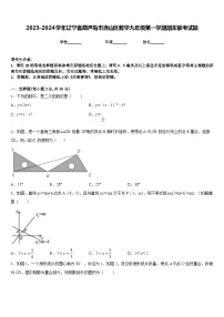 2023-2024学年辽宁省葫芦岛市连山区数学九年级第一学期期末联考试题含答案