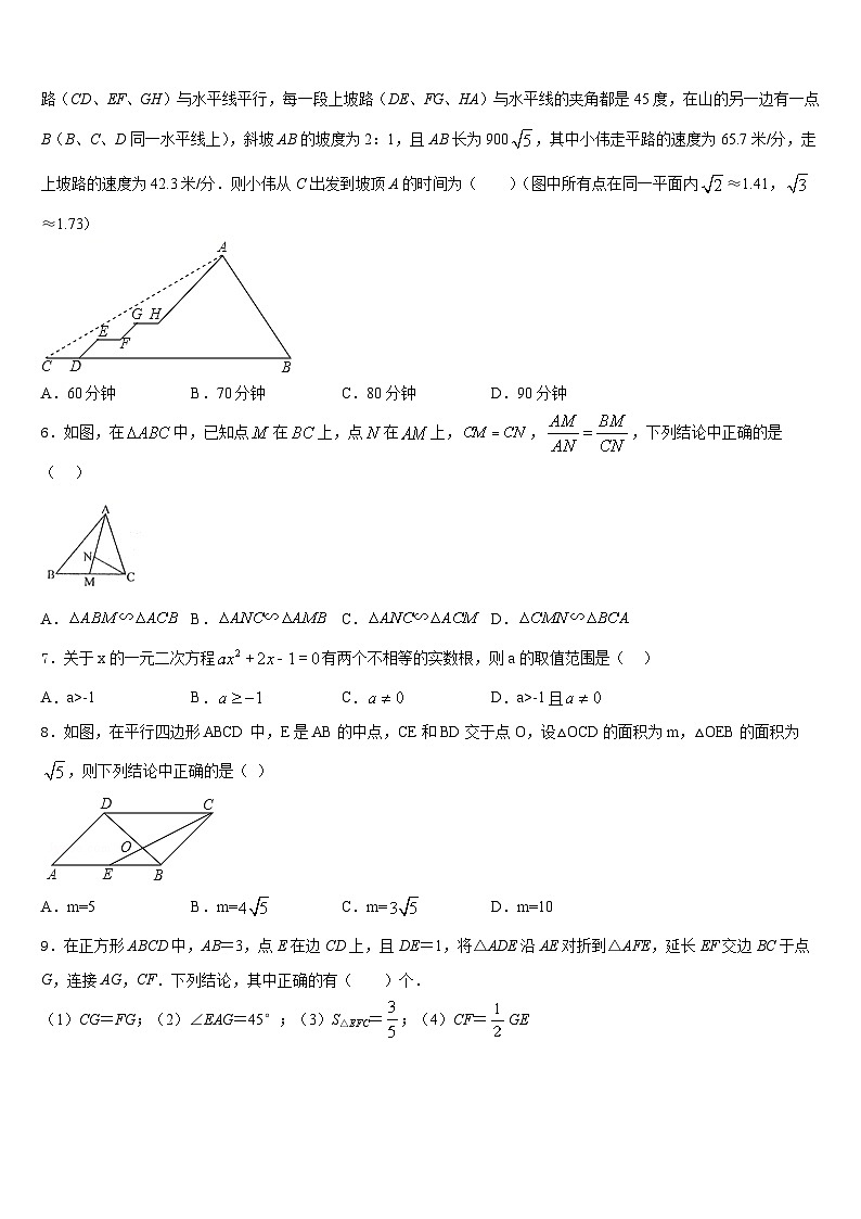 2023-2024学年辽宁省大连市普兰店区数学九上期末复习检测模拟试题含答案第2页