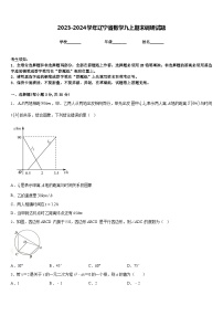 2023-2024学年辽宁省数学九上期末调研试题含答案