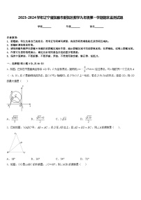 2023-2024学年辽宁省抚顺市新抚区数学九年级第一学期期末监测试题含答案