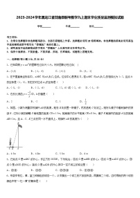 2023-2024学年黑龙江省甘南县联考数学九上期末学业质量监测模拟试题含答案