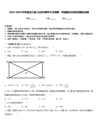 2023-2024学年黑龙江省七台河市数学九年级第一学期期末达标检测模拟试题含答案