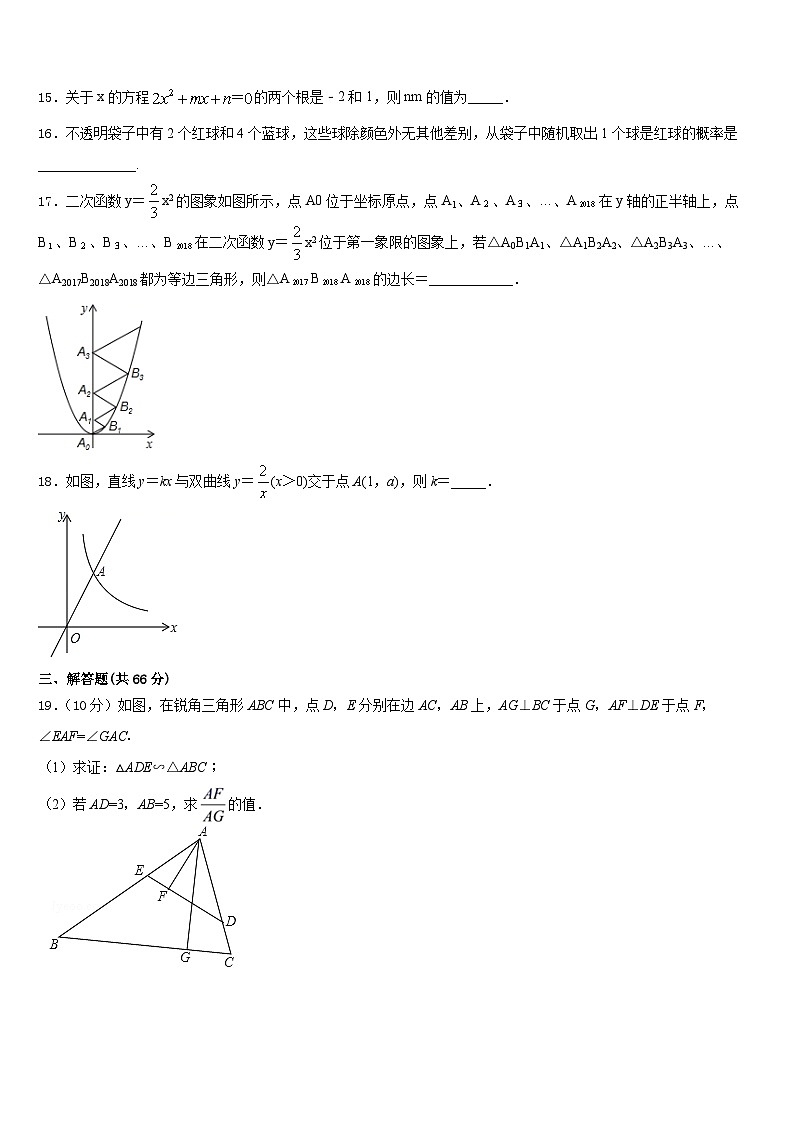 2023-2024学年黑龙江省庆安县数学九年级第一学期期末联考模拟试题含答案03