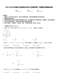 2023-2024学年黑龙江省双鸭山市名校九年级数学第一学期期末经典模拟试题含答案