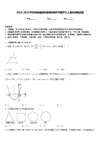 2023-2024学年陕西省西安爱知初级中学数学九上期末调研试题含答案