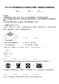 2023-2024学年陕西西安市交大附中数学九年级第一学期期末复习检测模拟试题含答案