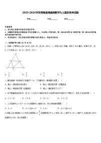 2023-2024学年青海省海南州数学九上期末统考试题含答案