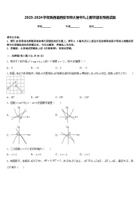 2023-2024学年陕西省西安市师大附中九上数学期末预测试题含答案