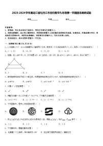 2023-2024学年黑龙江省牡丹江市名校数学九年级第一学期期末调研试题含答案