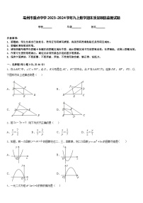 亳州市重点中学2023-2024学年九上数学期末质量跟踪监视试题含答案