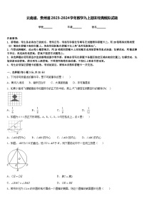 云南省、贵州省2023-2024学年数学九上期末经典模拟试题含答案