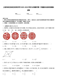 上海市闵行区闵行区莘松中学2023-2024学年九年级数学第一学期期末达标检测模拟试题含答案