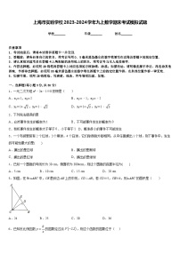 上海市实验学校2023-2024学年九上数学期末考试模拟试题含答案