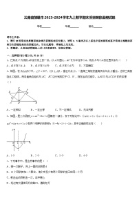 云南省楚雄市2023-2024学年九上数学期末质量跟踪监视试题含答案