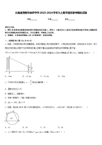 云南省昆明市祯祥中学2023-2024学年九上数学期末联考模拟试题含答案