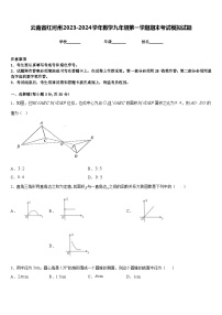 云南省红河州2023-2024学年数学九年级第一学期期末考试模拟试题含答案