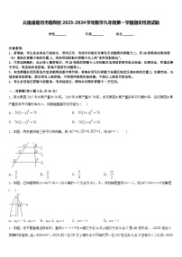 云南省临沧市临翔区2023-2024学年数学九年级第一学期期末检测试题含答案