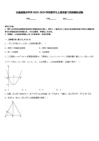 云南省重点中学2023-2024学年数学九上期末复习检测模拟试题含答案